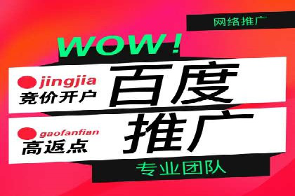 行业标杆：某信息流广告公司的成功投放策略